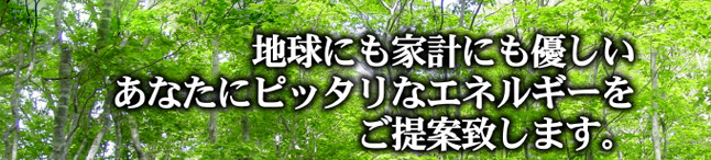 サラヤのエコエネルギー課は、地球にも家計にも優しいあなたにピッタリなエネルギーをご提案致します。